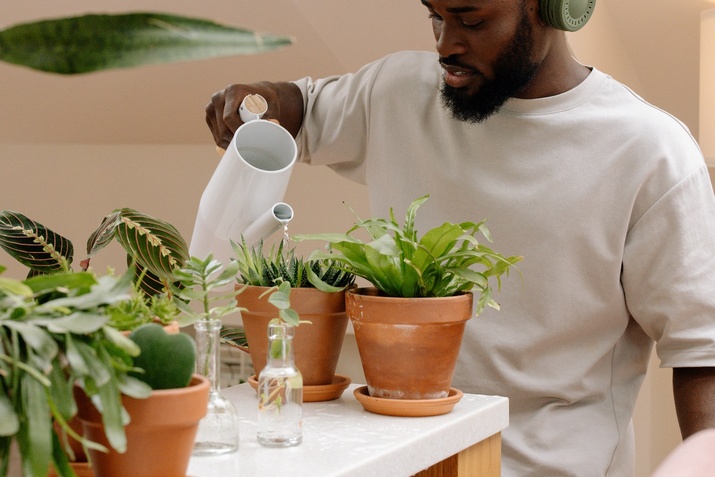Black guy watering plants potted in terracotta pots while he listens to music