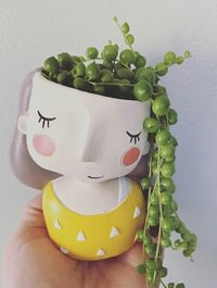 Senecio Rowleyanus image number 8. All credits to lifeisshort_buytheplants. Senecio Rowleyanus image number 8. All credits to lifeisshort_buytheplants.